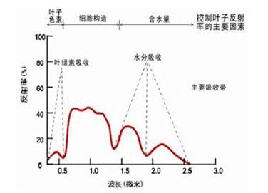 下载.jpg